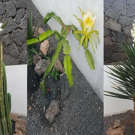 Relaxation - Swimming Pool - Adults Only *