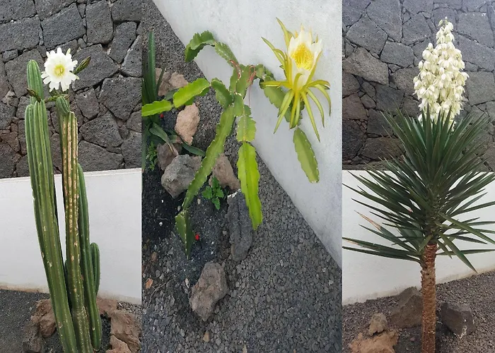 Relaxation - Swimming Pool - Adults Only *